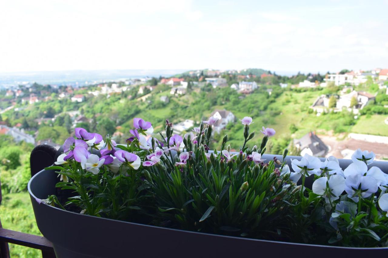 Panorama Kucko Apartment เปตช์ ภายนอก รูปภาพ